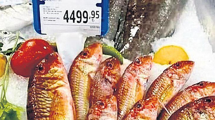 Datça’da barbun balığına 3.500 TL