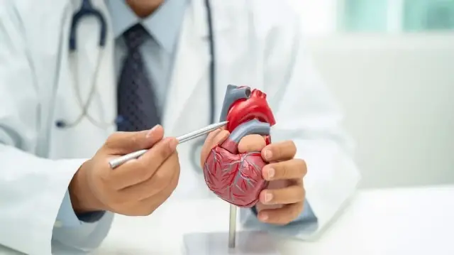 Sağlıklı ve dengeli beslenme, kalp-damar sağlığını koruyor