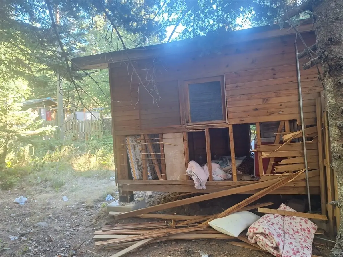 uludagda ayi barakaya saldirdi 2O1SEPFu