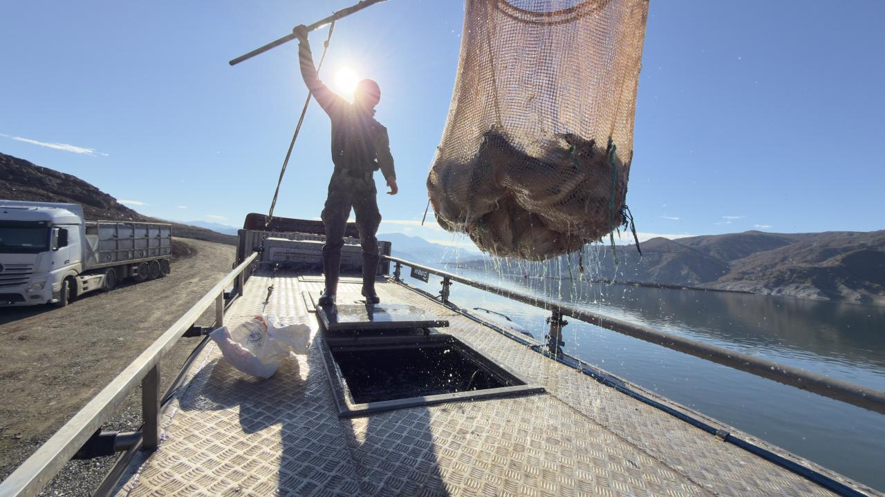 Denizi olmayan şehirden Japonya ve Avrupa’ya somon ihracatı