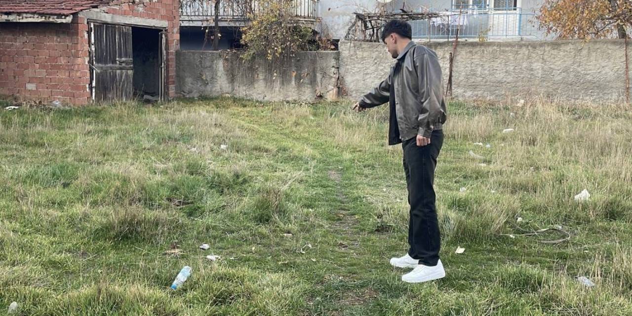 Eskişehir’de korkunç manzara! Boş arazide toplu halde ölü kediler bulundu