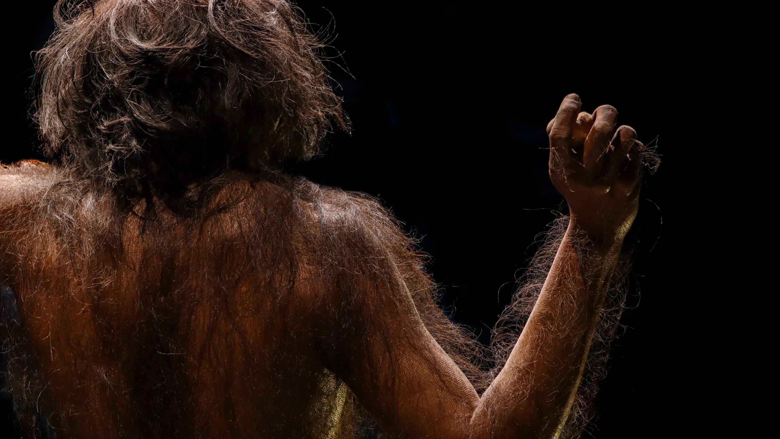 İnsanlığın en eski atası bulunmuş olabilir